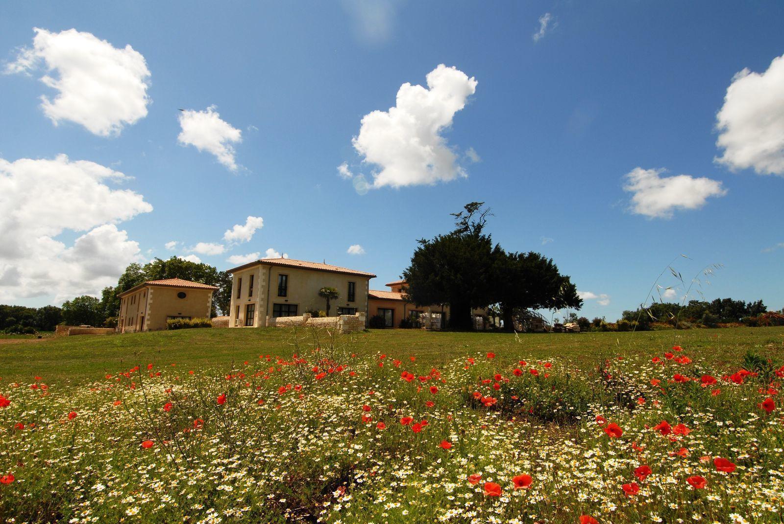 Domaine les Marées - 4. Au Rythme des Marées - vakantiehuizen Frankrijk