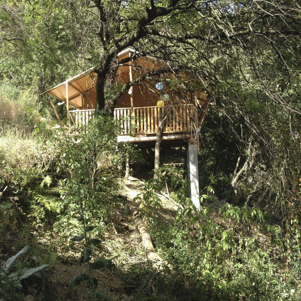 Cevenolse Mas Safaritent - kampeervakantie in Franse natuur